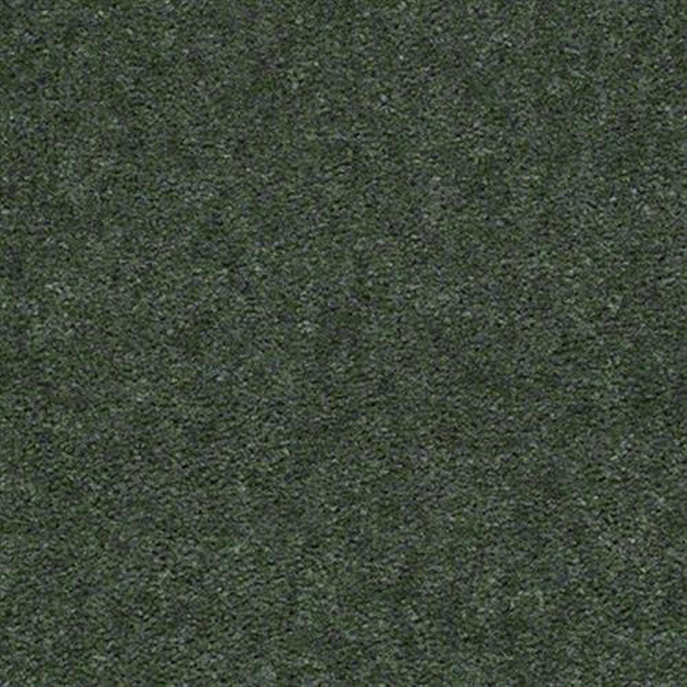 Seven Seas 12 Ft. 100% Continuous Filament Nylon 17.5 Oz. Carpet -Logan